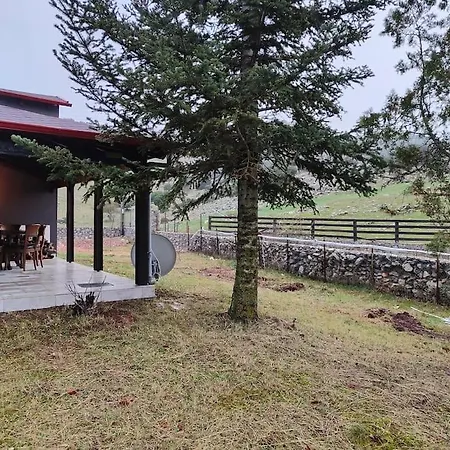 Orino Livadi Mount Iv 빌라 아라초바